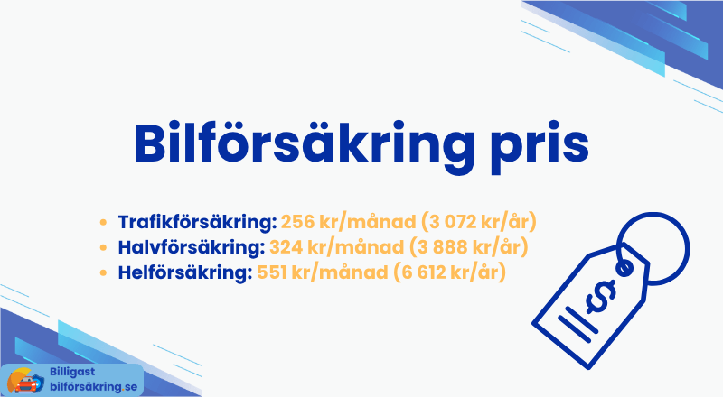 Pris på bilförsäkring per månad och år